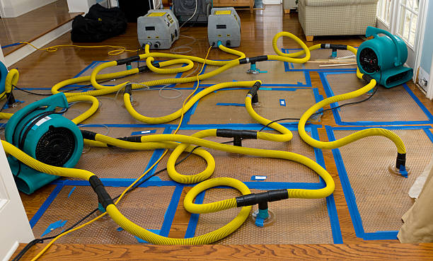 Professional Sewage Cleanup technician working in East Wilton, ME